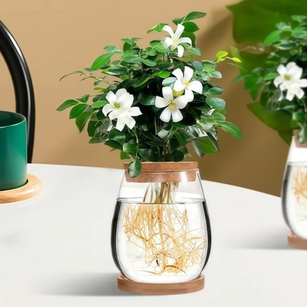 Propagation Station Vase - กระถางดอกไม้ไฮโดรโพนิกใสพร้อมถาดไม้ สถานีเพาะพันธุ์พืชแก้ว แจกันตกแต่งโต๊ะ ไมโครแลนด์สเคป