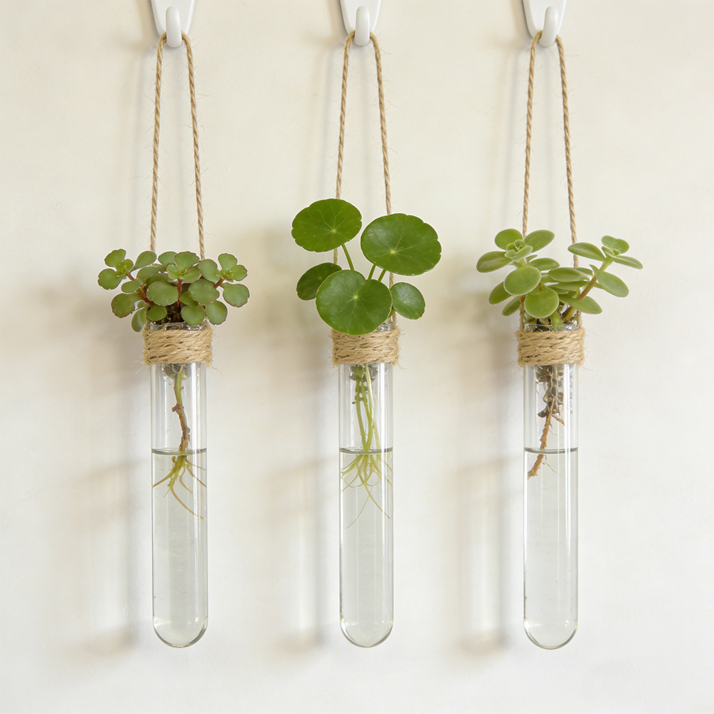 Propagation Station Vase - แจกันดอกไม้แบบไฮโดรโปนิกส์ติดผนัง แจกันหลอดทดลอง ไฮโดรโปนิกส์ ของตกแต่งบ้านและสำนักงาน ที่วางต้นไม้ ของตกแต่งสวนในบ้าน