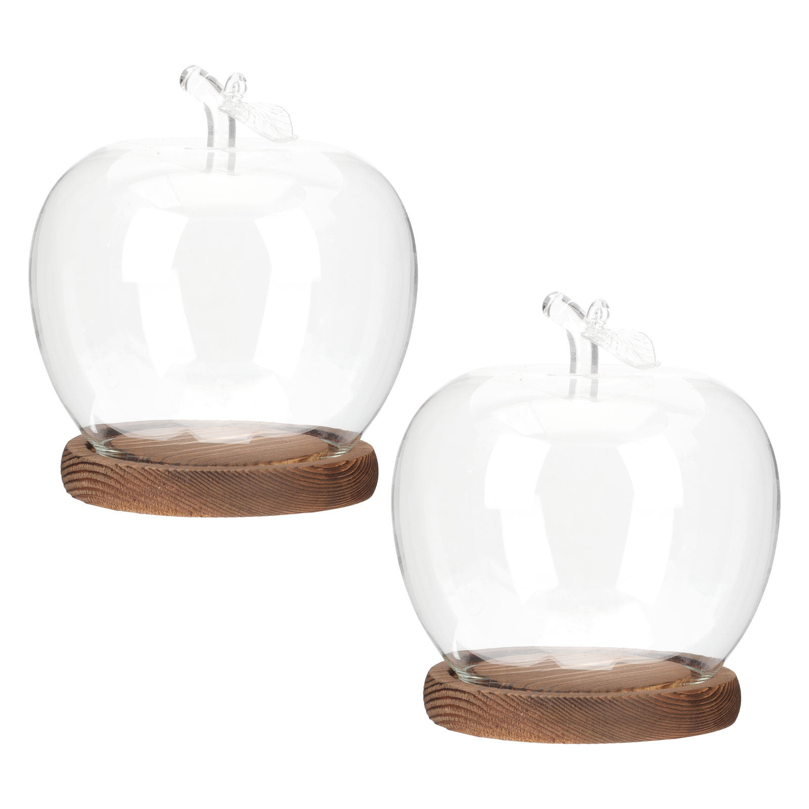 Plastic Dome Clear - โดมแก้ว 2 ชิ้นพร้อมฐานไม้ ฝาครอบใสสำหรับโชว์ของสะสม ต้นไม้ ดอกไม้