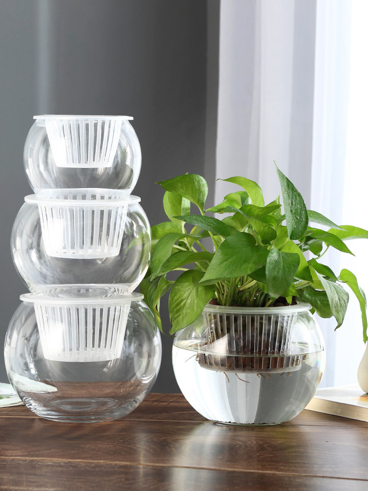 Propagation Station Vase - แจกันแก้วไฮโดรโปนิกส์ แจกันแก้วทรงกลมสำหรับปลูกต้นไม้สีเขียว ใช้สำหรับตกแต่งบ้านและสำนักงาน