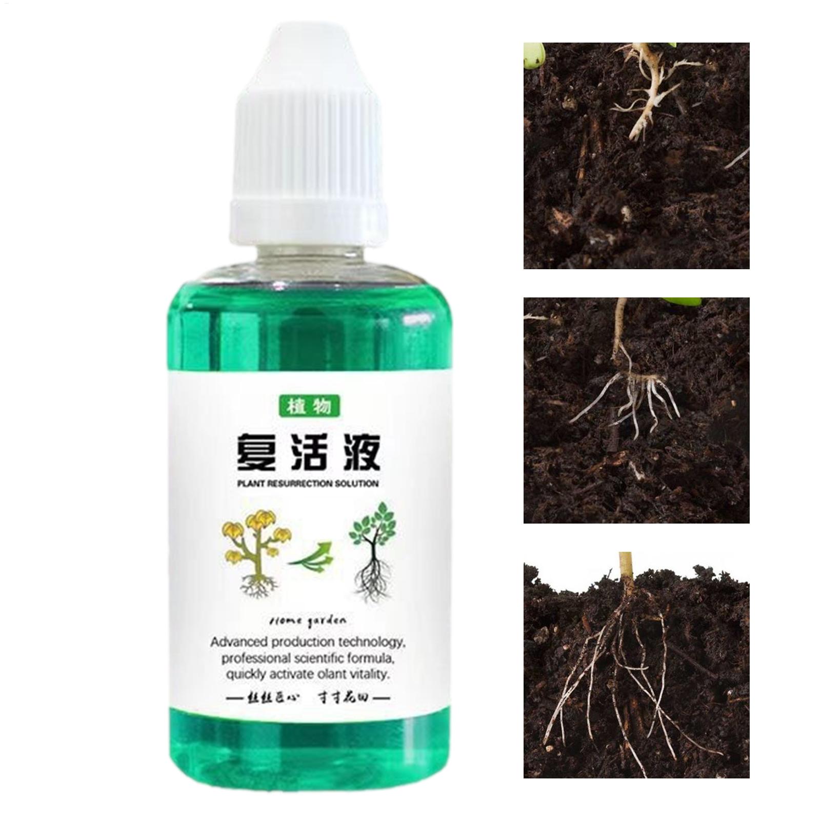 น้ำยากระตุ้นราก 50 มล. ปุ๋ยเหล - Root Stimulator Liquid บทวิจารณ์และราคา