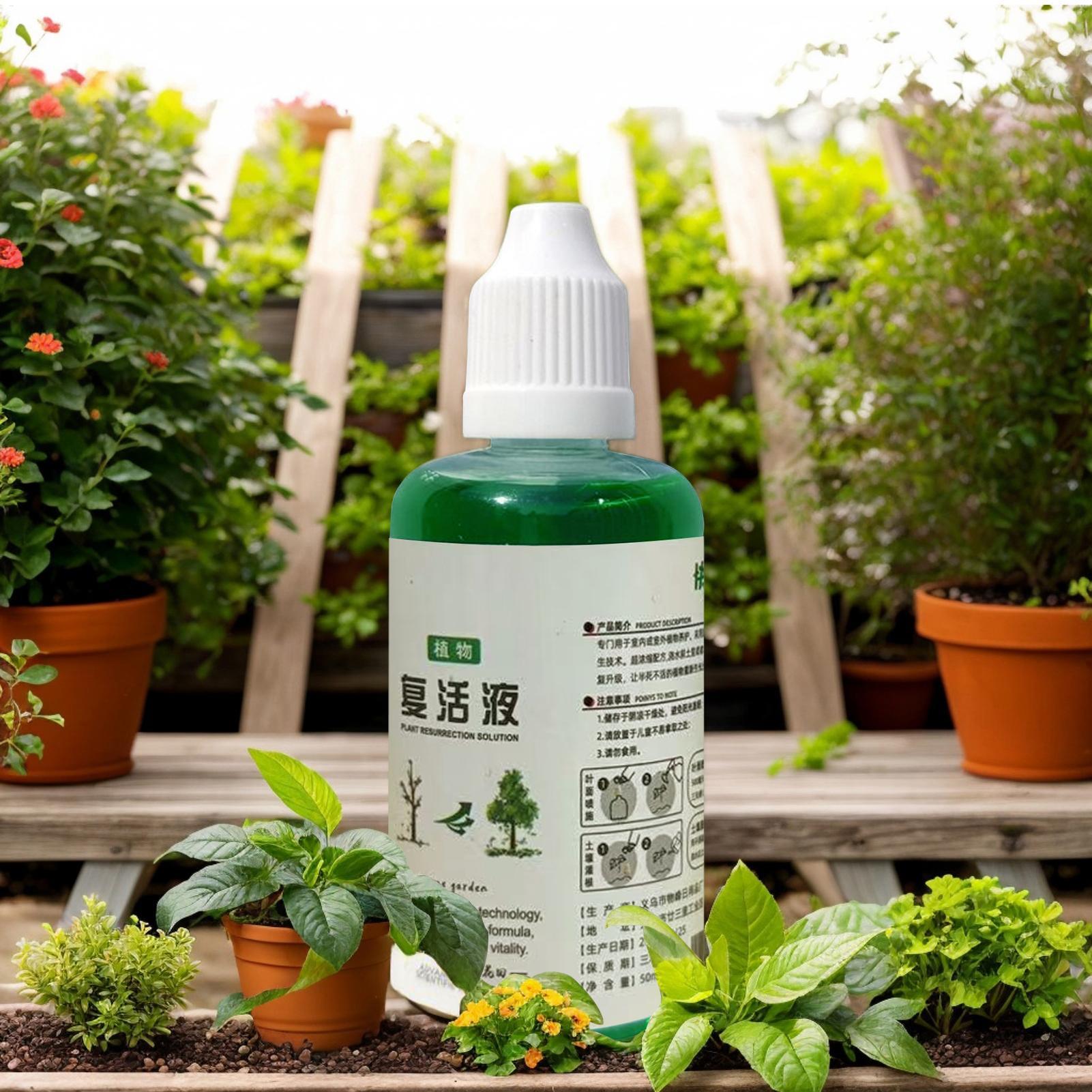 สารกระตุ้นรากสำหรับพืช ปุ๋ยบำร - Root Stimulator Liquid บทวิจารณ์และราคา