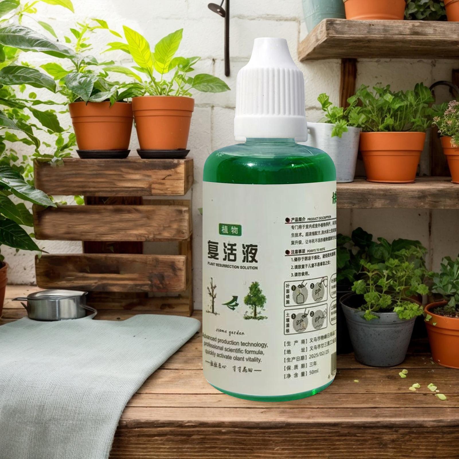 สารกระตุ้นรากสำหรับพืช ปุ๋ยบำร - Root Stimulator Liquid บทวิจารณ์และราคา