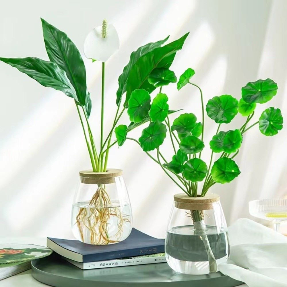 กระถางดอกไม้ไฮโดรโพนิกใสพร้อมถ - Propagation Station Vase บทวิจารณ์และราคา