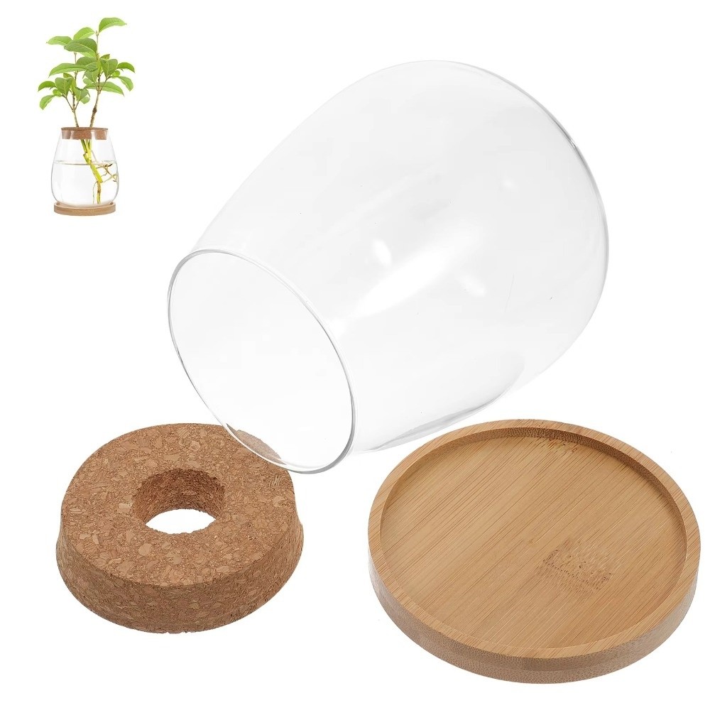 กระถางดอกไม้ไฮโดรโพนิกใสพร้อมถ - Propagation Station Vase บทวิจารณ์และราคา