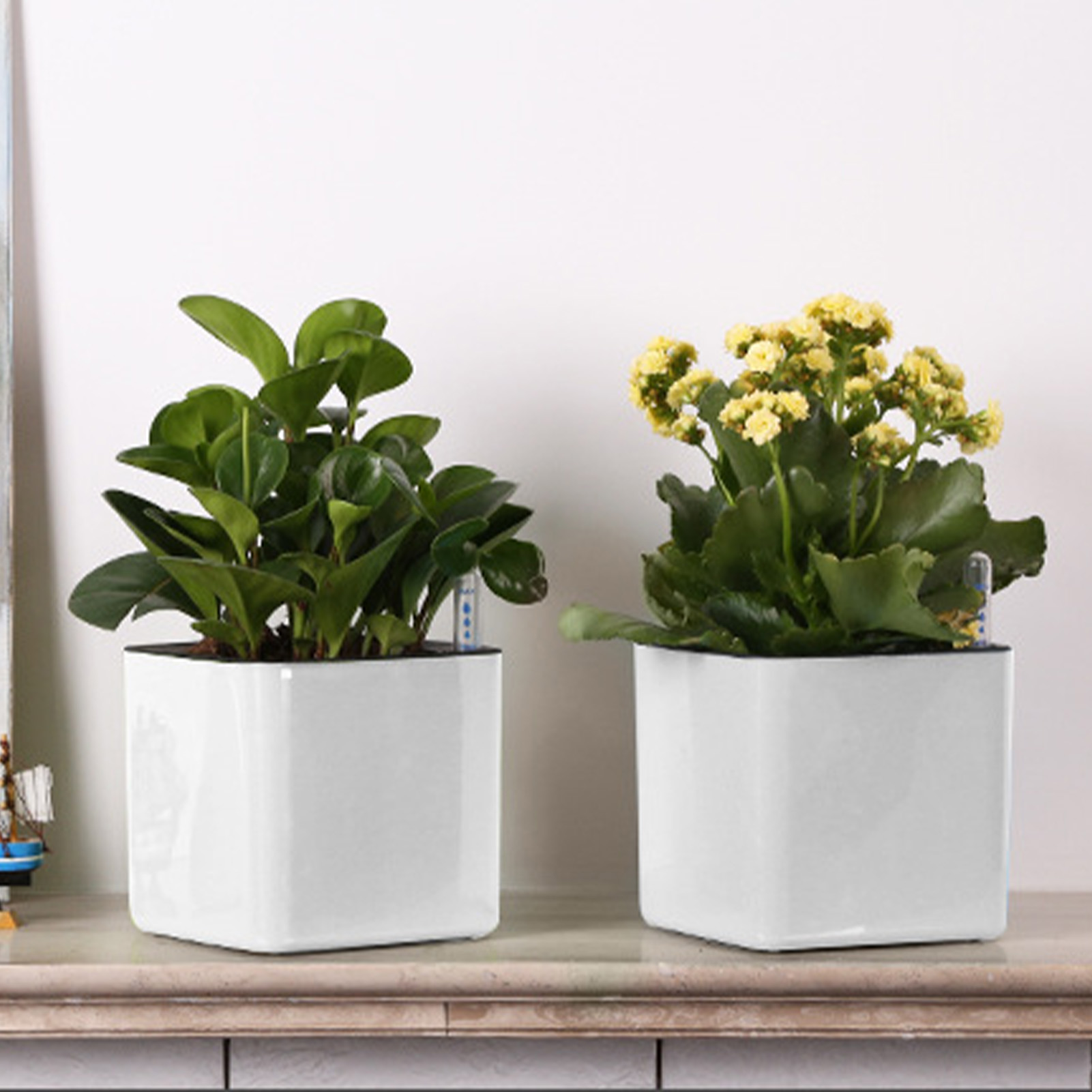 กระถางปลูกต้นไม้แบบรดน้ำเองพร้ - Self Watering Insert บทวิจารณ์และราคา