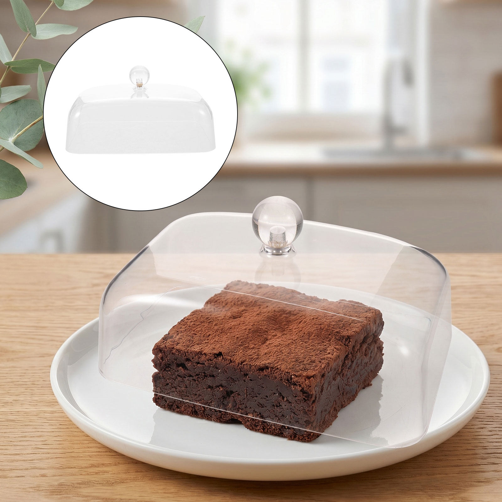 ฝาครอบอาหารใส ฝาครอบอะคริลิกสำ - Plastic Dome Clear บทวิจารณ์และราคา