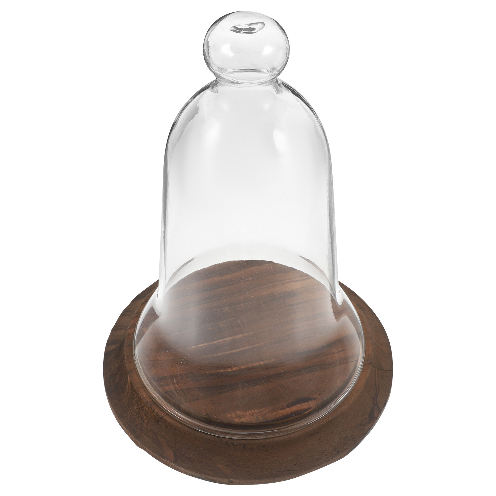 ฝาครอบโชว์แบบโดมแก้ว แก้วบอโรซ - Plastic Dome Clear บทวิจารณ์และราคา