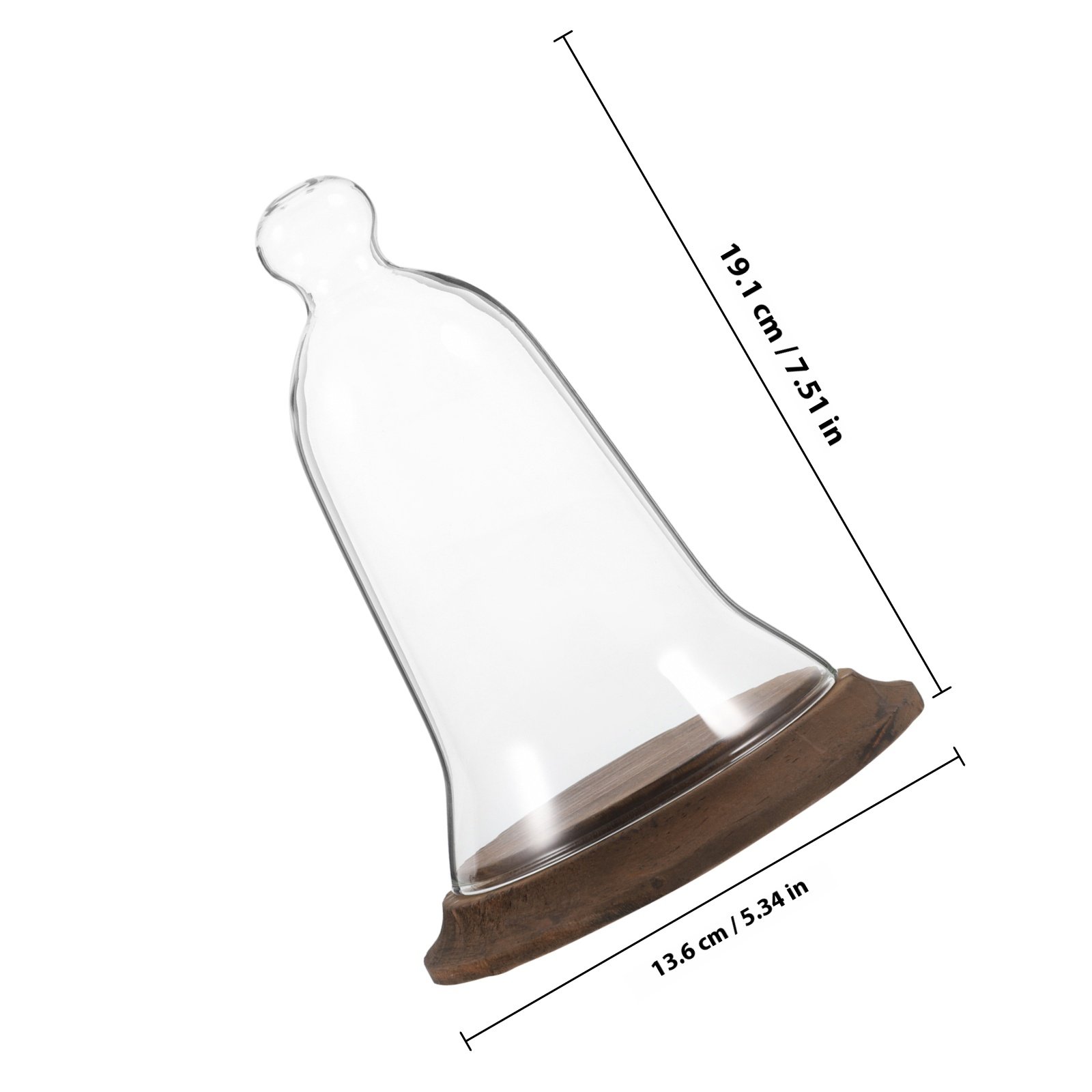 ฝาครอบโชว์แบบโดมแก้ว แก้วบอโรซ - Plastic Dome Clear บทวิจารณ์และราคา