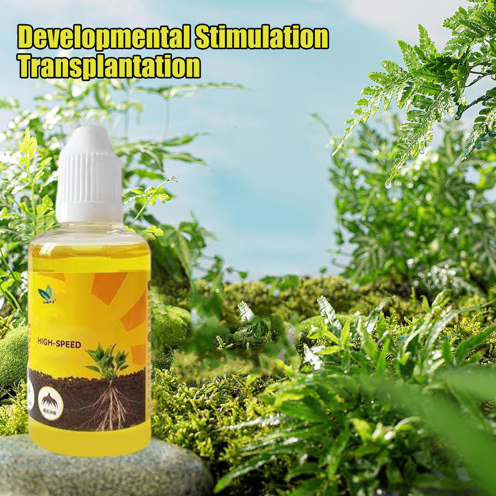 50 มล. น้ำยากระตุ้นการงอกของพื - Root Stimulator Liquid บทวิจารณ์และราคา