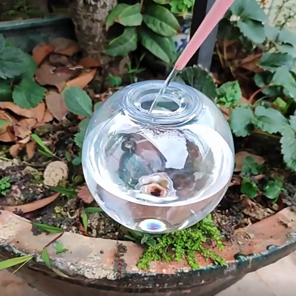ลูกบอลรดน้ำอัตโนมัติขนาด 500 ม - Self Watering Insert บทวิจารณ์และราคา