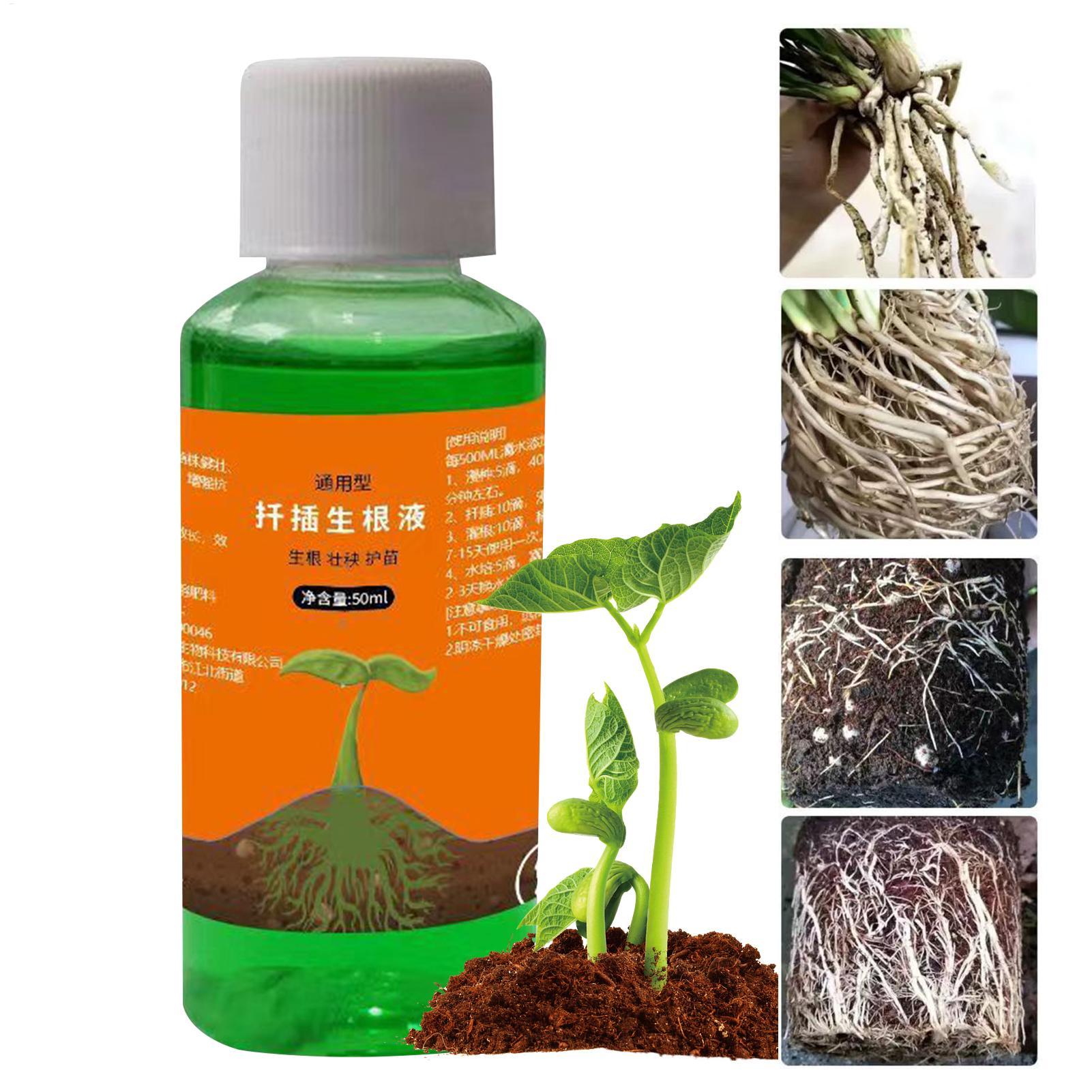 สารอาหารปลูกต้นไม้ 50 มล. น้ำย - Root Stimulator Liquid บทวิจารณ์และราคา