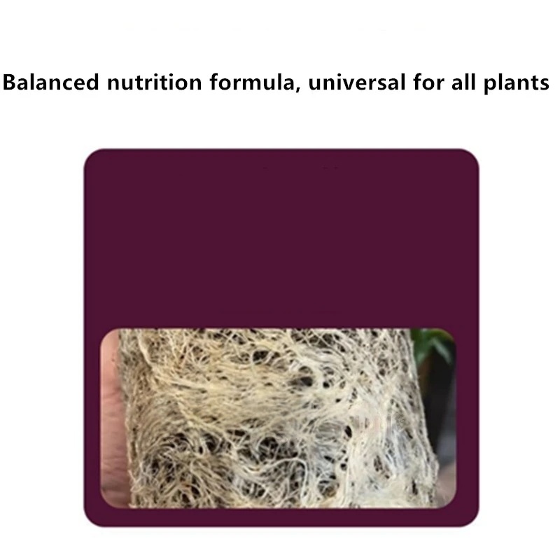 ผงฮอร์โมนเร่งราก 2 ถุง ปุ๋ยเร่ - Rooting Hormone Powder บทวิจารณ์และราคา