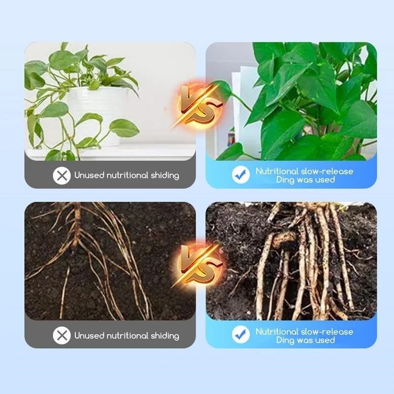ผงฮอร์โมนเร่งราก 2 ถุง ปุ๋ยเร่ - Rooting Hormone Powder บทวิจารณ์และราคา