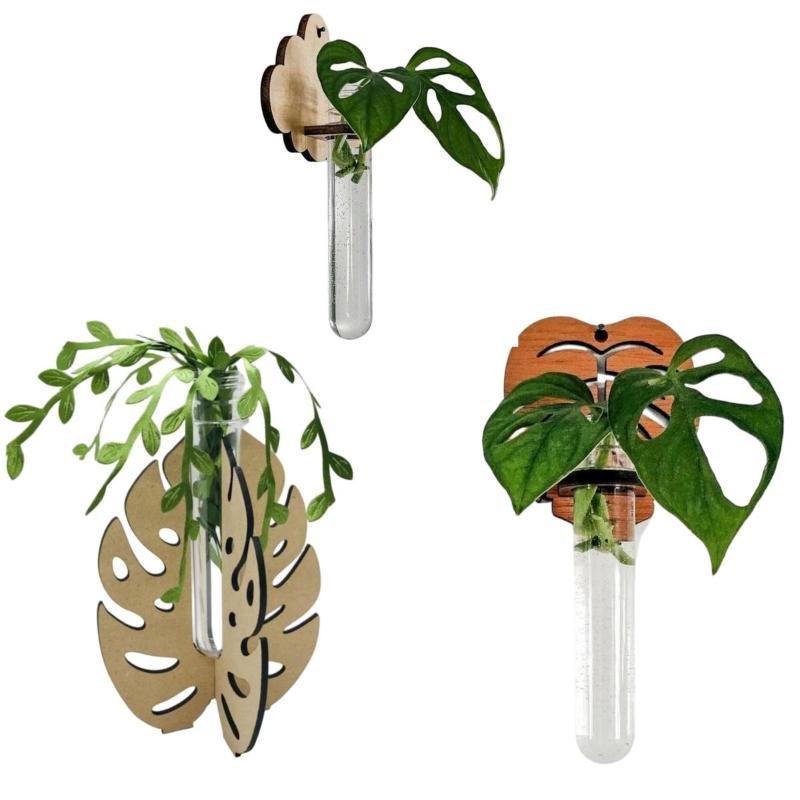 แจกันไม้ติดผนังสำหรับปลูกมอนสเ - Propagation Station Vase บทวิจารณ์และราคา