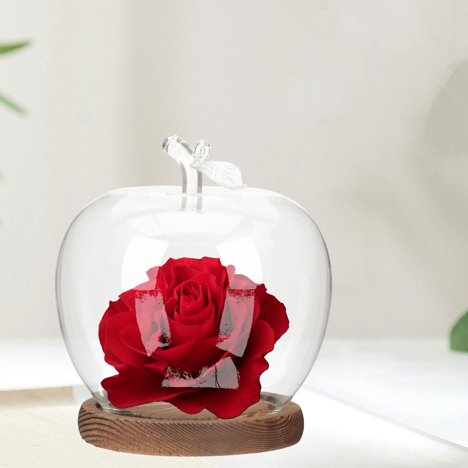 โดมแก้ว 2 ชิ้นพร้อมฐานไม้ ฝาคร - Plastic Dome Clear บทวิจารณ์และราคา