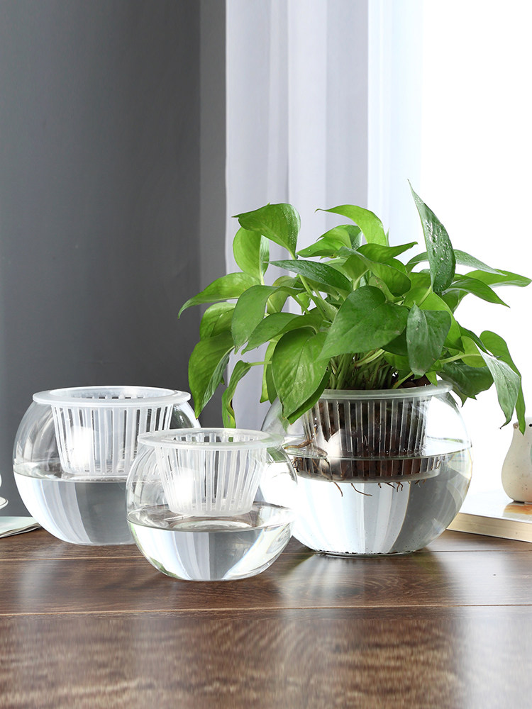 แจกันแก้วไฮโดรโปนิกส์ แจกันแก้ - Propagation Station Vase บทวิจารณ์และราคา