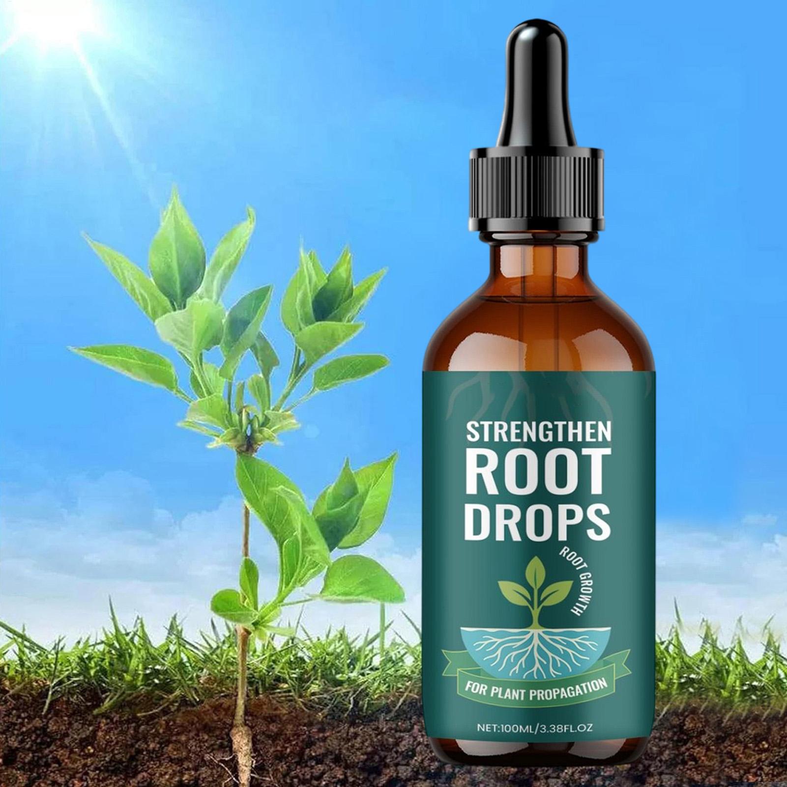 น้ำยาเร่งรากพืช 100 มล. สารกระ - Root Stimulator Liquid บทวิจารณ์และราคา